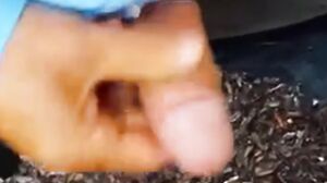 Inside my ass black cock