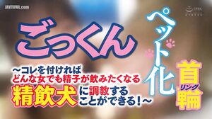 RCTD-492 Cum Pet Collar