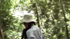 DDK-242 Forest Of Desire