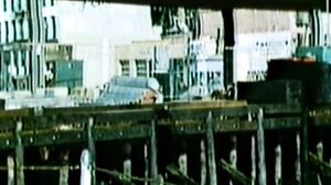 Tigresses And Other Man Eaters - Samantha Fox